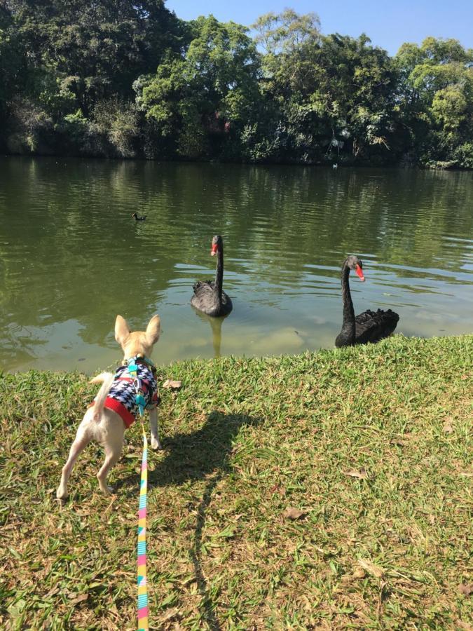 Ibirapuera Royal Park Daire Sao Paulo Dış mekan fotoğraf